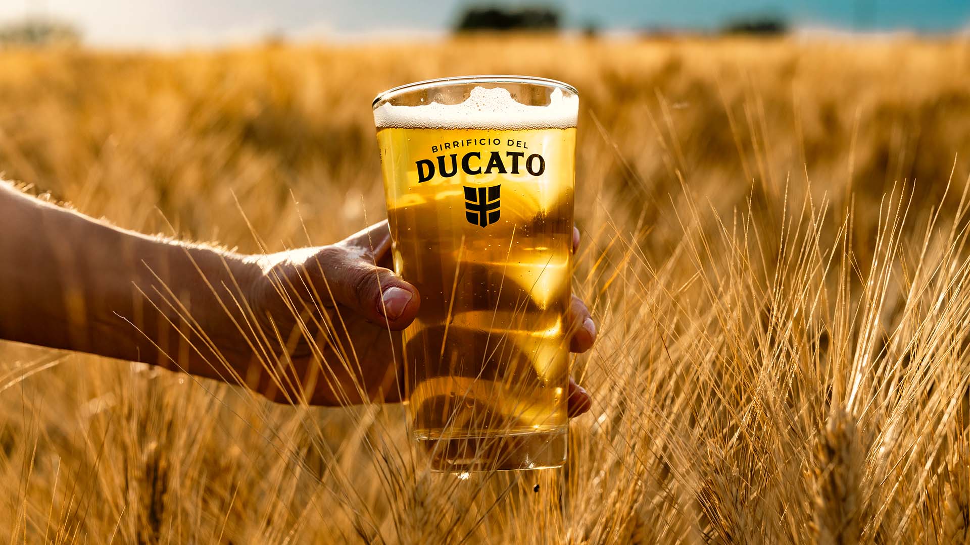 ducato_emotional