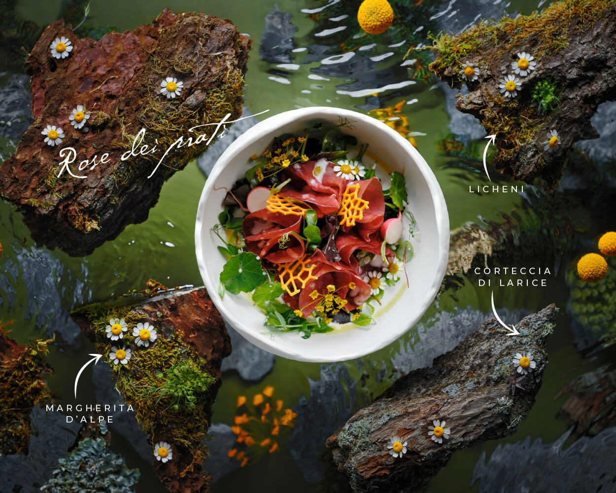 jacleroi-bordoni-website-1250x1000_1