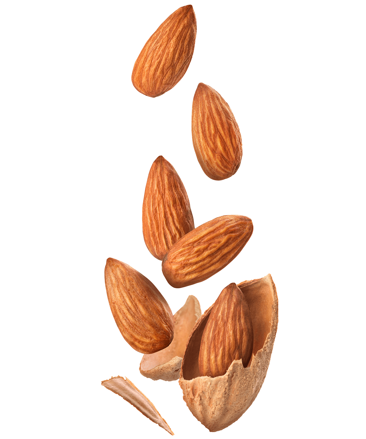 jacleroi-nutkao-brand-positioning-1250x1500_2-2