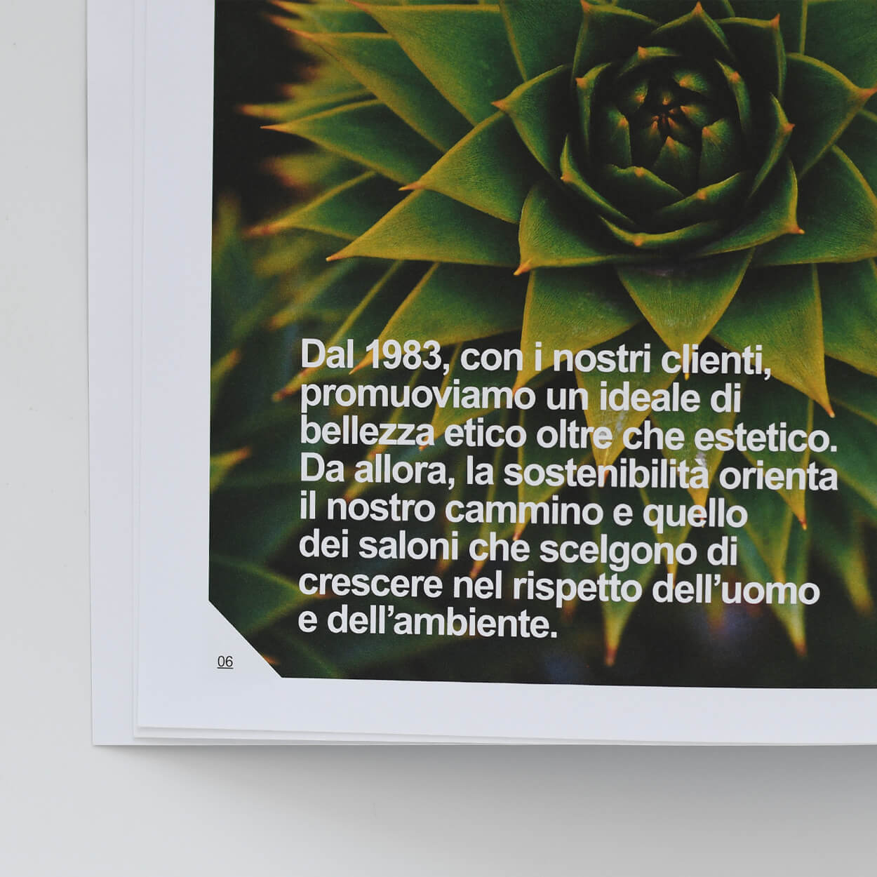 jacleroi-sousteinable-beauty-partner-1250x1250
